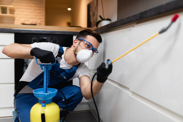 Reliable South Yarmouth, MA Pest Control Solutions