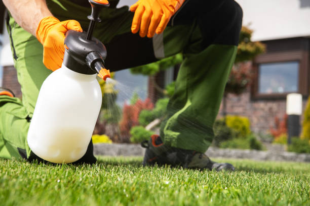 Best Wasp Removal Services  in South Yarmouth, MA