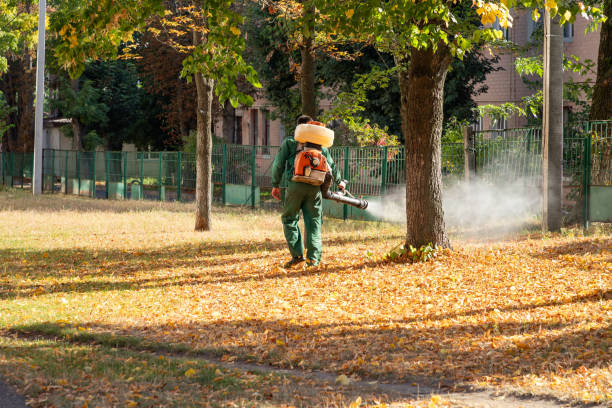 Wasp Removal Services in South Yarmouth, MA