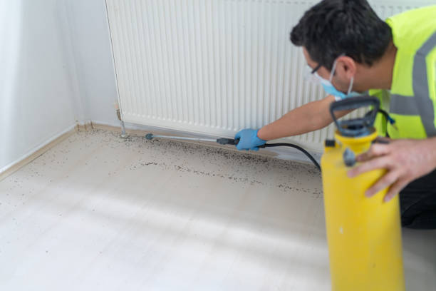 Best Affordable Pest Control Services  in South Yarmouth, MA