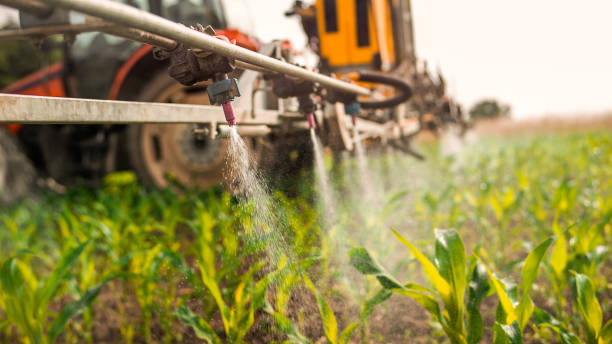 Best Commercial Pest Control Services  in South Yarmouth, MA